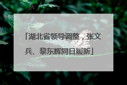 湖北省领导调整，张文兵、黎东辉同日履新